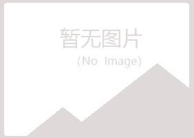 铁山港区山柏建筑有限公司